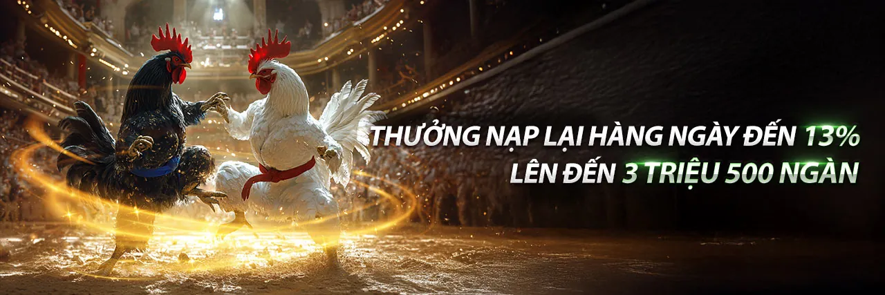 Chương trình VIP bsports bet