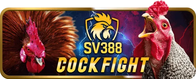 Khuyến mãi độc quyền tại bsports bet